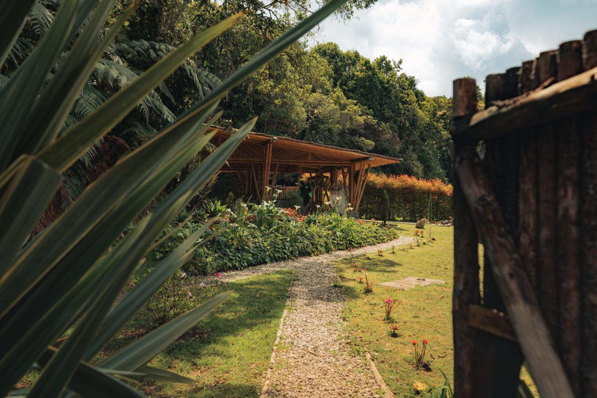 Bubblesky Glamping 15 Min From Medellin Hotel Rionegro Luaran gambar
