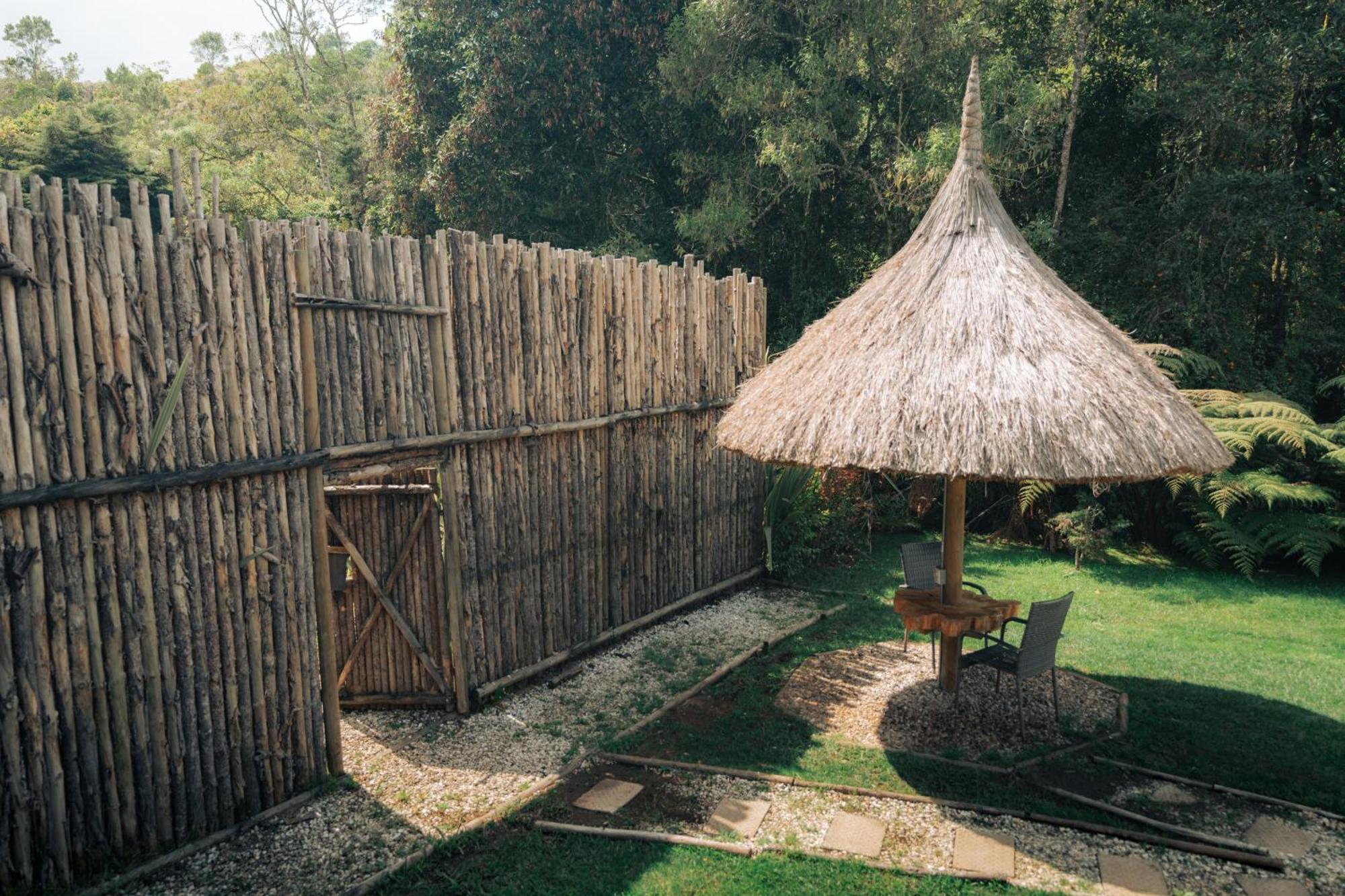 Bubblesky Glamping 15 Min From Medellin Hotel Rionegro Luaran gambar