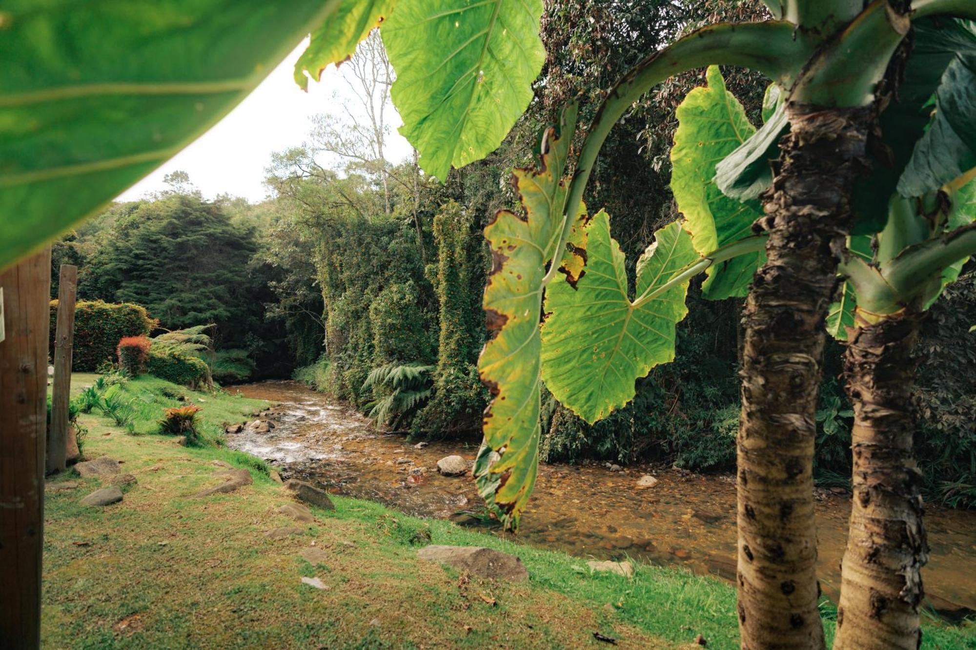 Bubblesky Glamping 15 Min From Medellin Hotel Rionegro Luaran gambar
