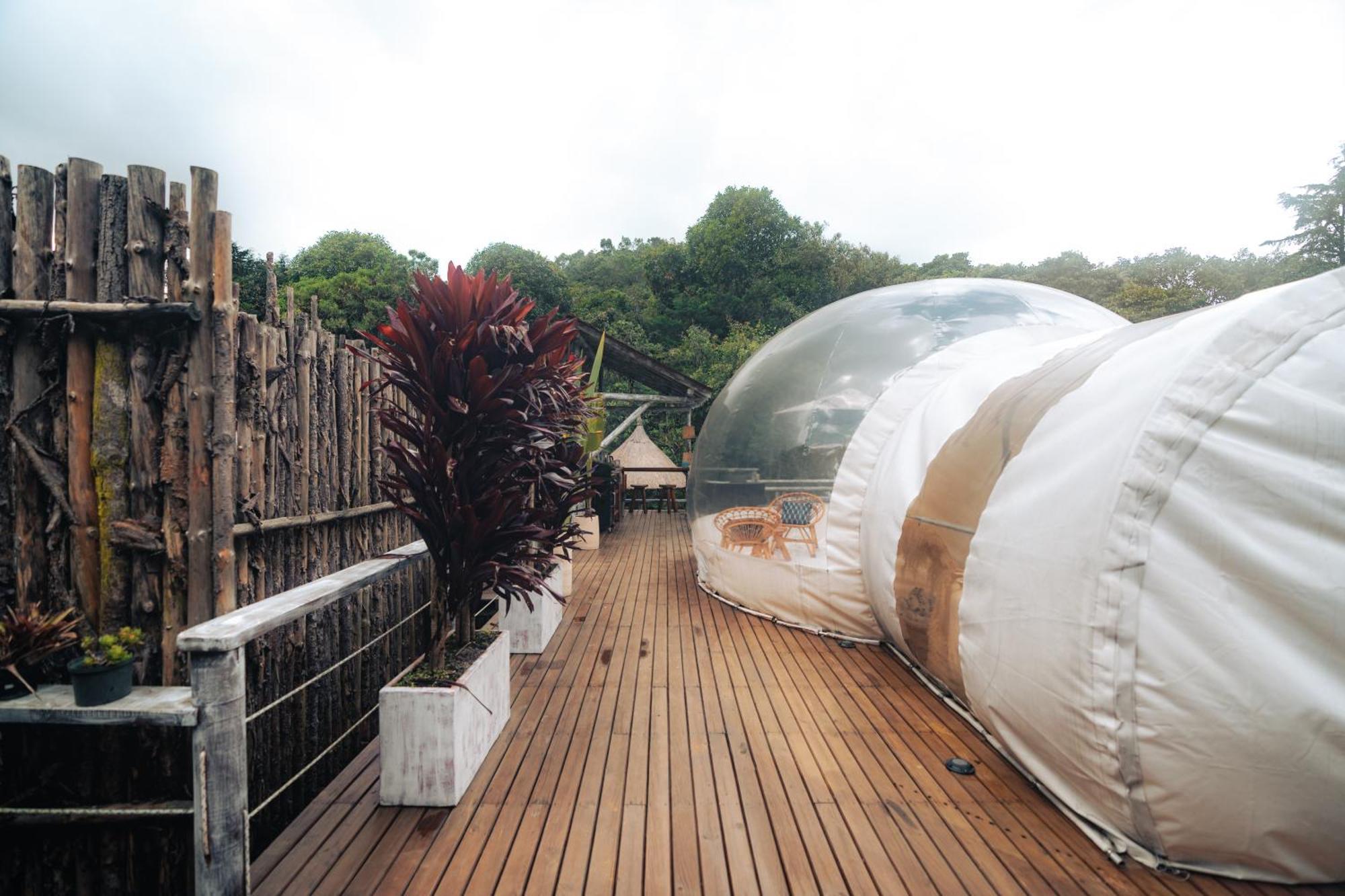 Bubblesky Glamping 15 Min From Medellin Hotel Rionegro Luaran gambar
