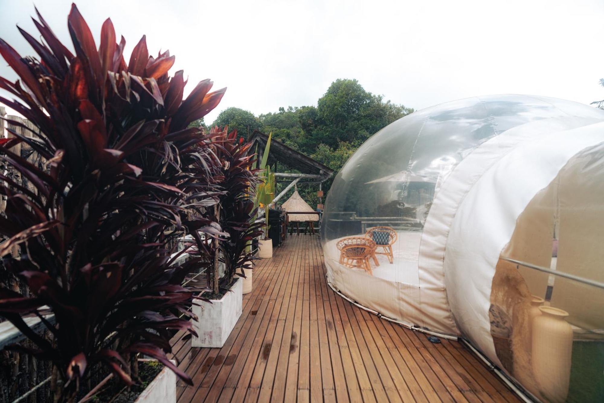 Bubblesky Glamping 15 Min From Medellin Hotel Rionegro Luaran gambar