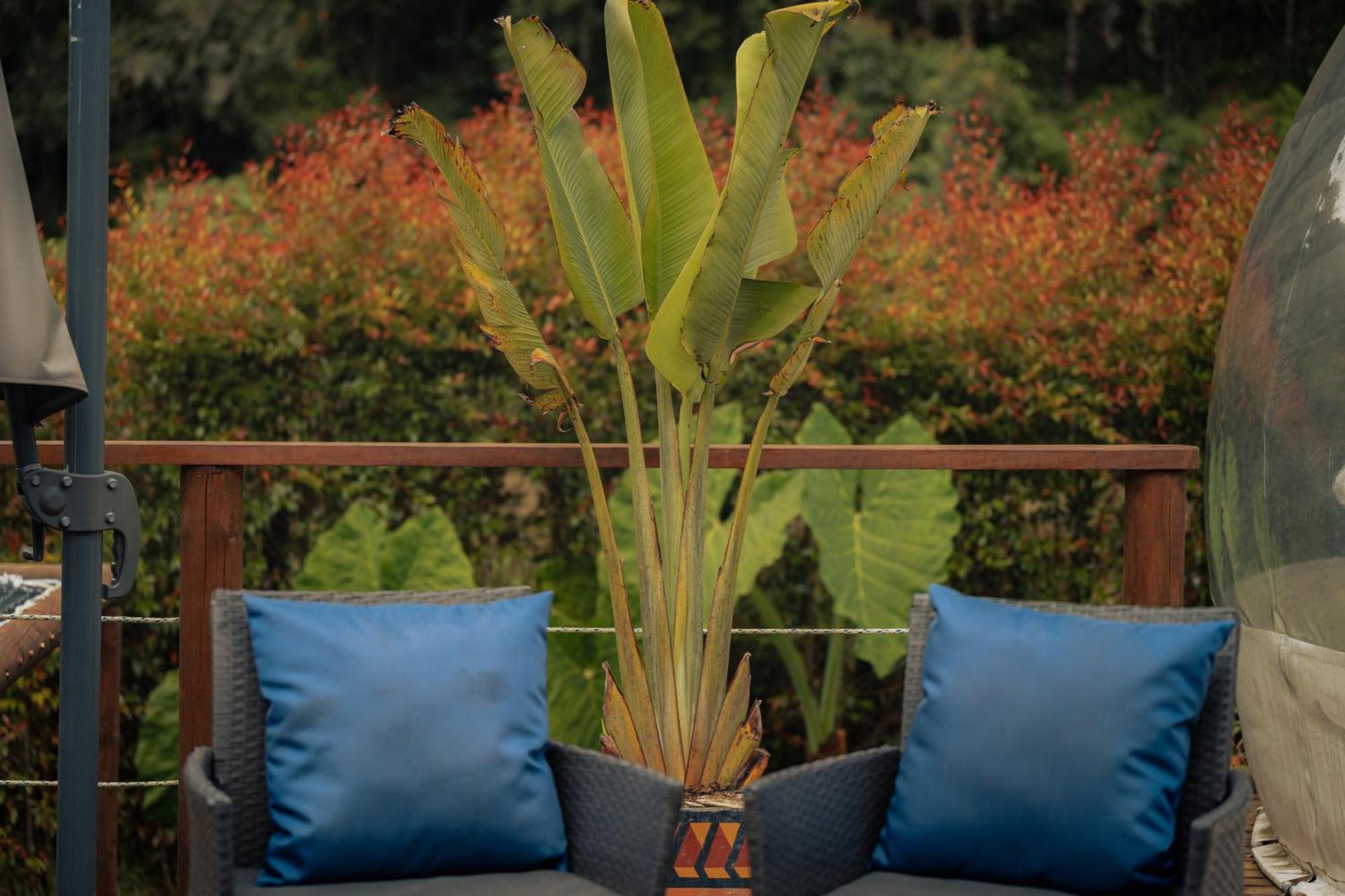 Bubblesky Glamping 15 Min From Medellin Hotel Rionegro Luaran gambar